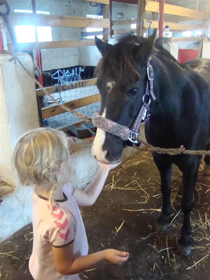 Anden særlig race Stabygårds Mia Maja billede 14