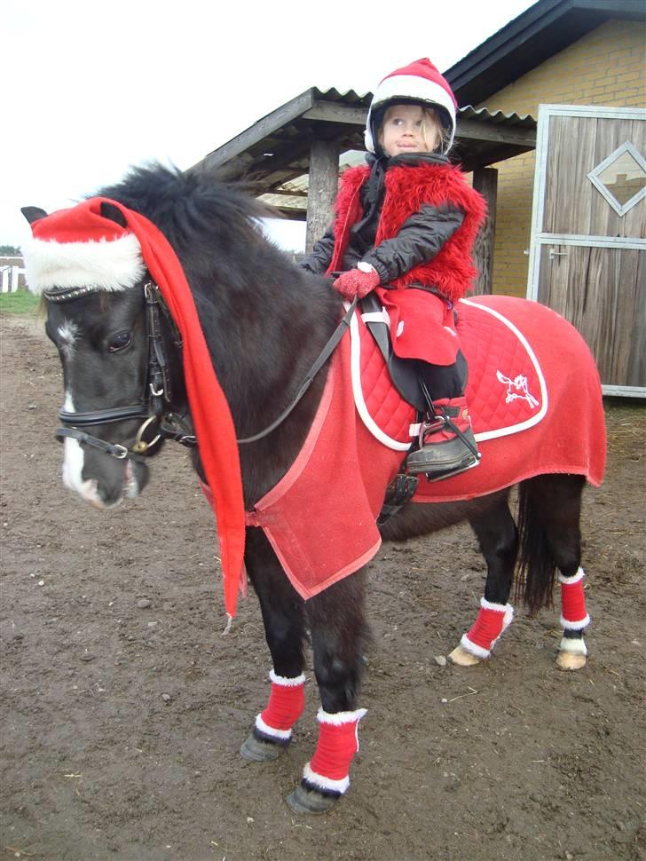 Anden særlig race Stabygårds Mia Maja billede 15