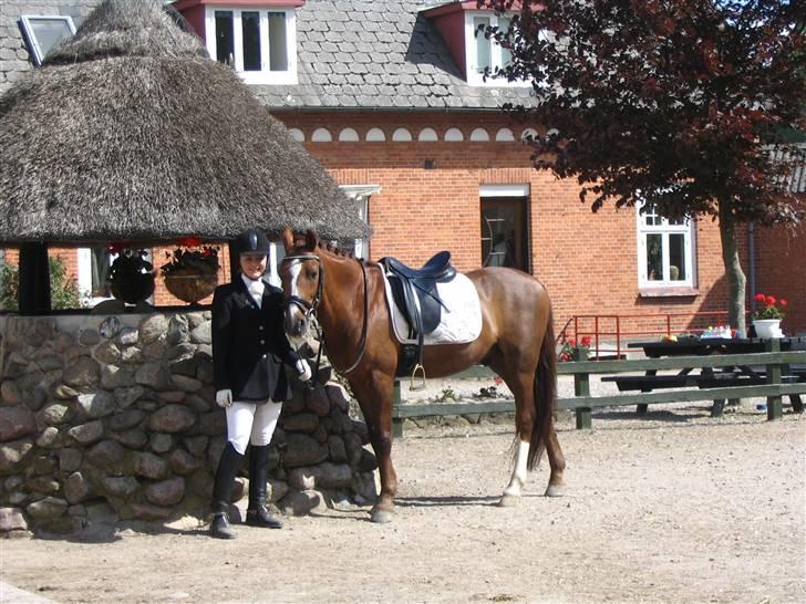 DSP Rob Roy - DISM Individuelt 2008 (Vinder:b) billede 3