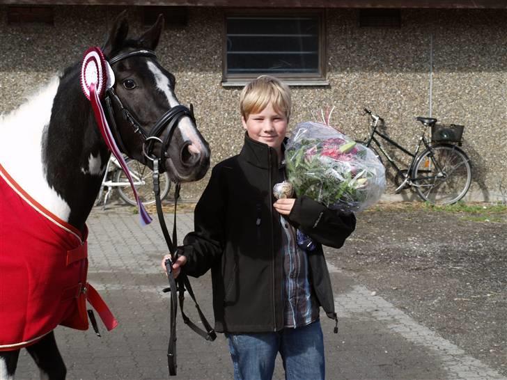 Pinto Celia Højgård billede 11