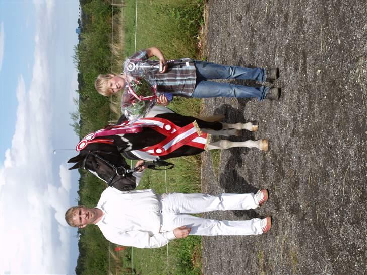 Pinto Celia Højgård billede 13