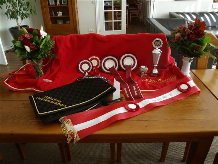 Pinto Celia Højgård - Celias mange præmier fra kåringen billede 15