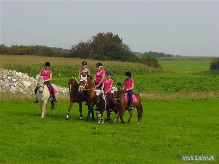 Anden særlig race Indy - landsfinaler i pony games, holdet. billede 17