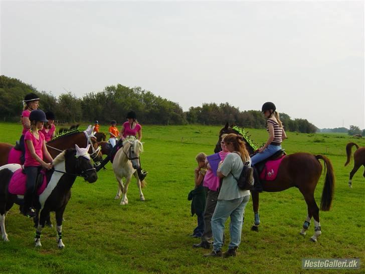 Anden særlig race Indy - landsfinaler i pony games. holdet billede 18