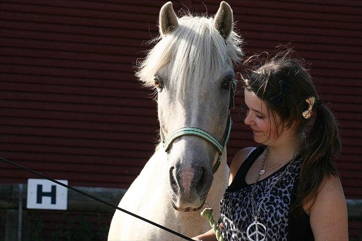 Anden særlig race Oswald (savnet) - mit yndlings billede af mig og ham. <3 billede 18