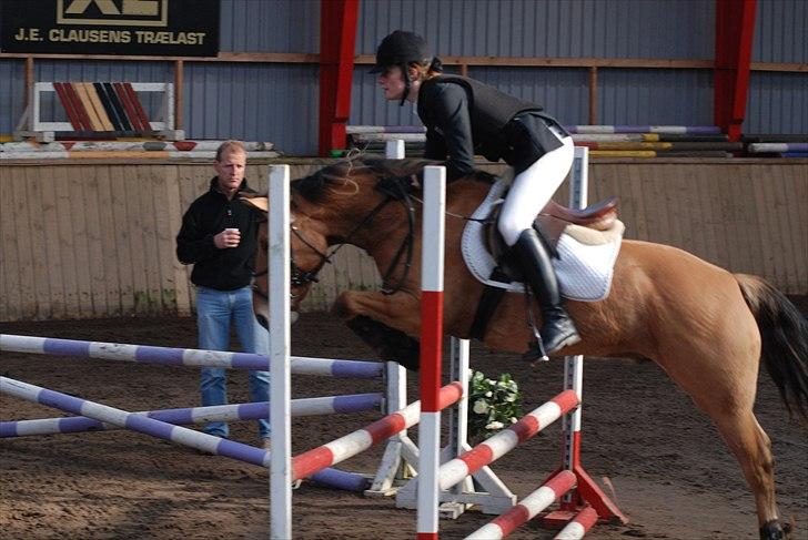 Anden særlig race Tornado - undskyld kval. hans første springstævne :D billede 6