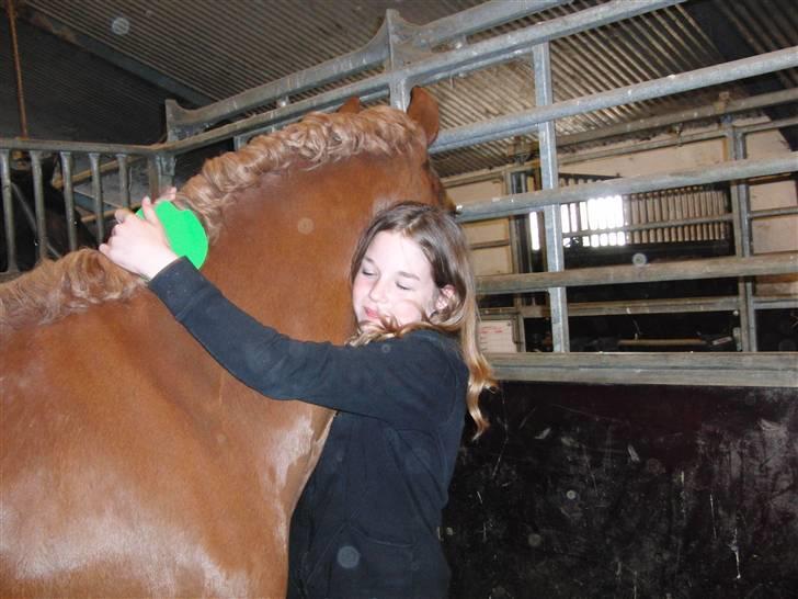 Anden særlig race Chili [Rider ikke mere] billede 9