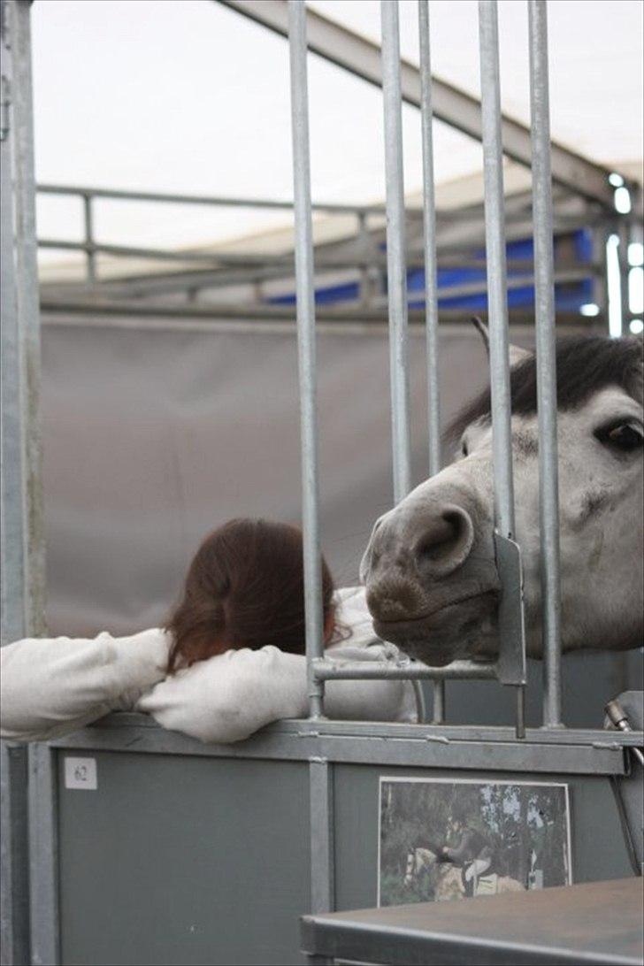 Anden særlig race Lukas - På vanviddets rand :p billede 8