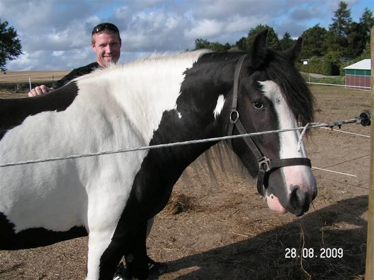 Tinker Royal Sascha billede 6