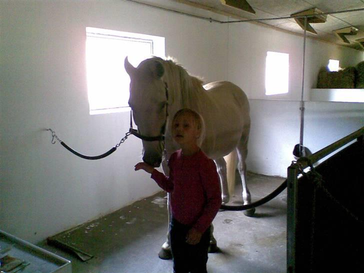 Anden særlig race Fenella - Lærke og Fenella. billede 13