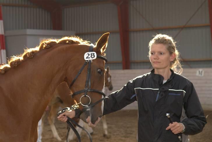 Frederiksborg magic star - Ringsted 2 års billede 12