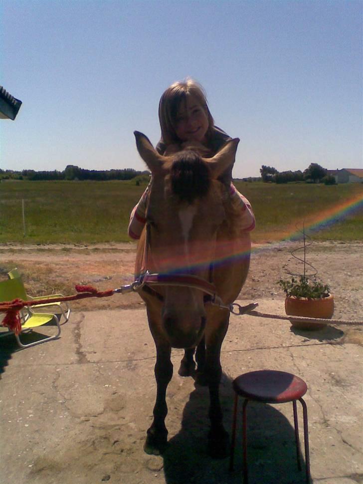 Connemara smilla<33 - lige efter en dejlig ride tur:) hehe billede 1