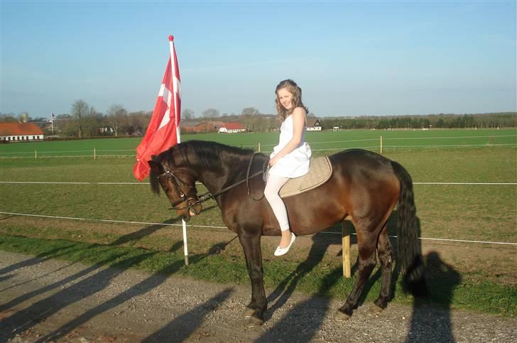 New Forest elmholts Granat billede 15