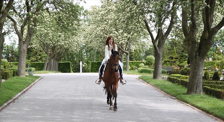 DSP Kenobi *Solgt* - You made my day a 1000 times better! Foto: Maria billede 3