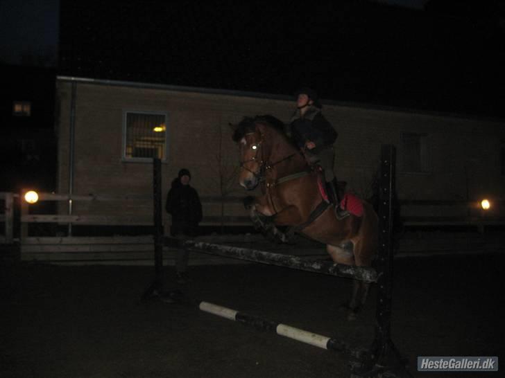 Anden særlig race Zarahby  - springundervisning d. 3 dec. foto tillo billede 4