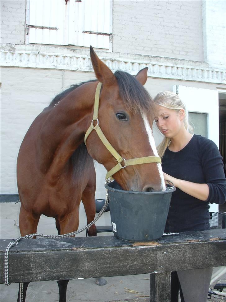 Traver Columba (Solgt)  - Den forkælede skulle lige have lidt at drikke :)  billede 7