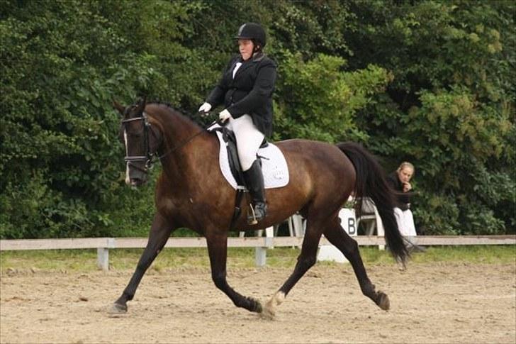 Oldenborg Nikoline - Oldenborg Championat den 21/8-10. Fik sit R. billede 1