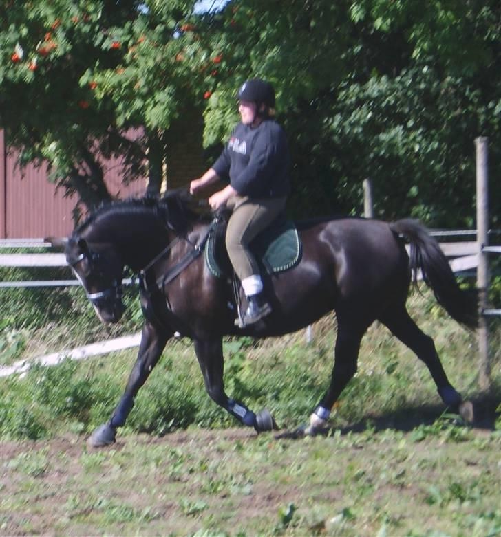 Oldenborg Nikoline - sep 2009 billede 6