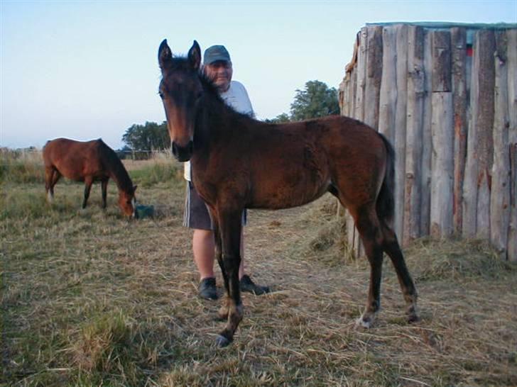 Traver Sweet Peace - Sweet 4,5 md gammel billede 18