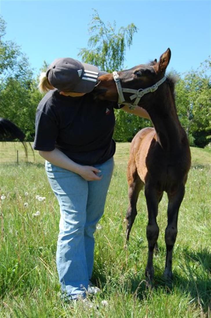 Traver Sweet Peace - sommeren 09 billede 20