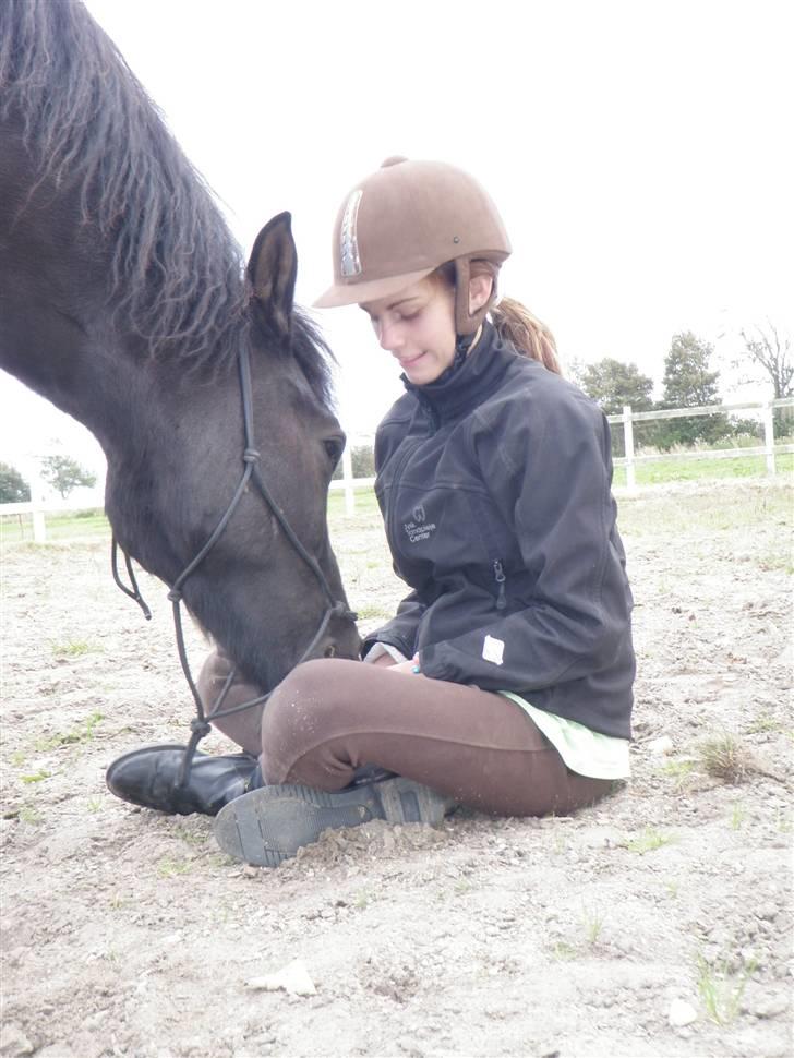 Anden særlig race Figaro, du glemmes aldrig - 15# den kærlighed du gav mig, vil min art aldrig være i stand til at give tilbage *; billede 16