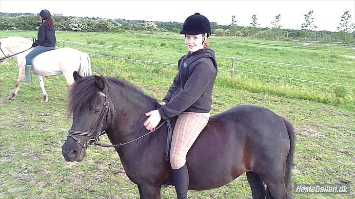 Anden særlig race Fleur billede 18