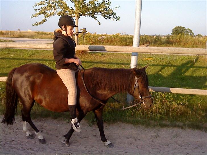 Anden særlig race Fleur billede 20