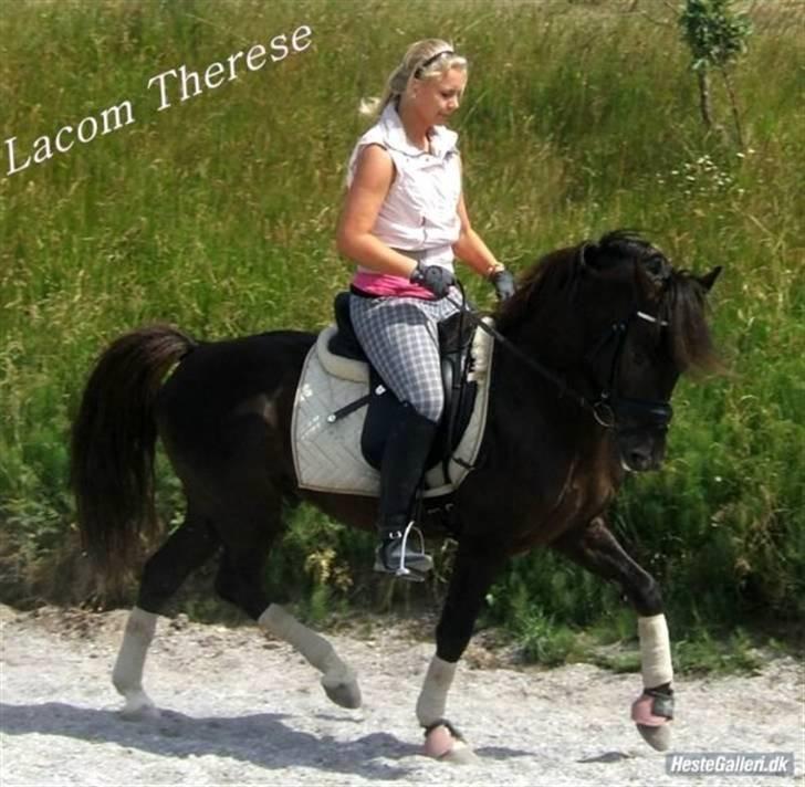 DSP Lacom Therese * solgt *  billede 3