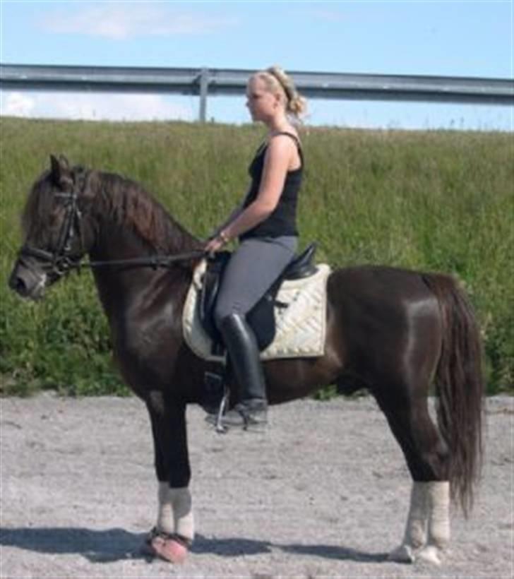 DSP Lacom Therese * solgt *  billede 6