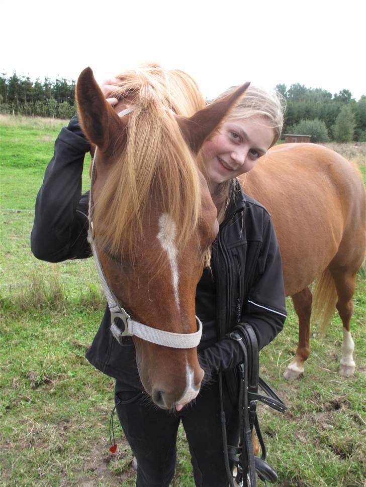 Anden særlig race Bauke <3 R.I.P  - endag ses vi igen, det bliver bare et bedre sted i; <3 mesterfotograf: inga billede 19