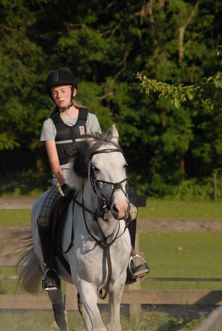 Hollandsk Sportspony Red Bull *Part*. - Opvarmning til Ponylege. Ridelejr 2009. billede 4