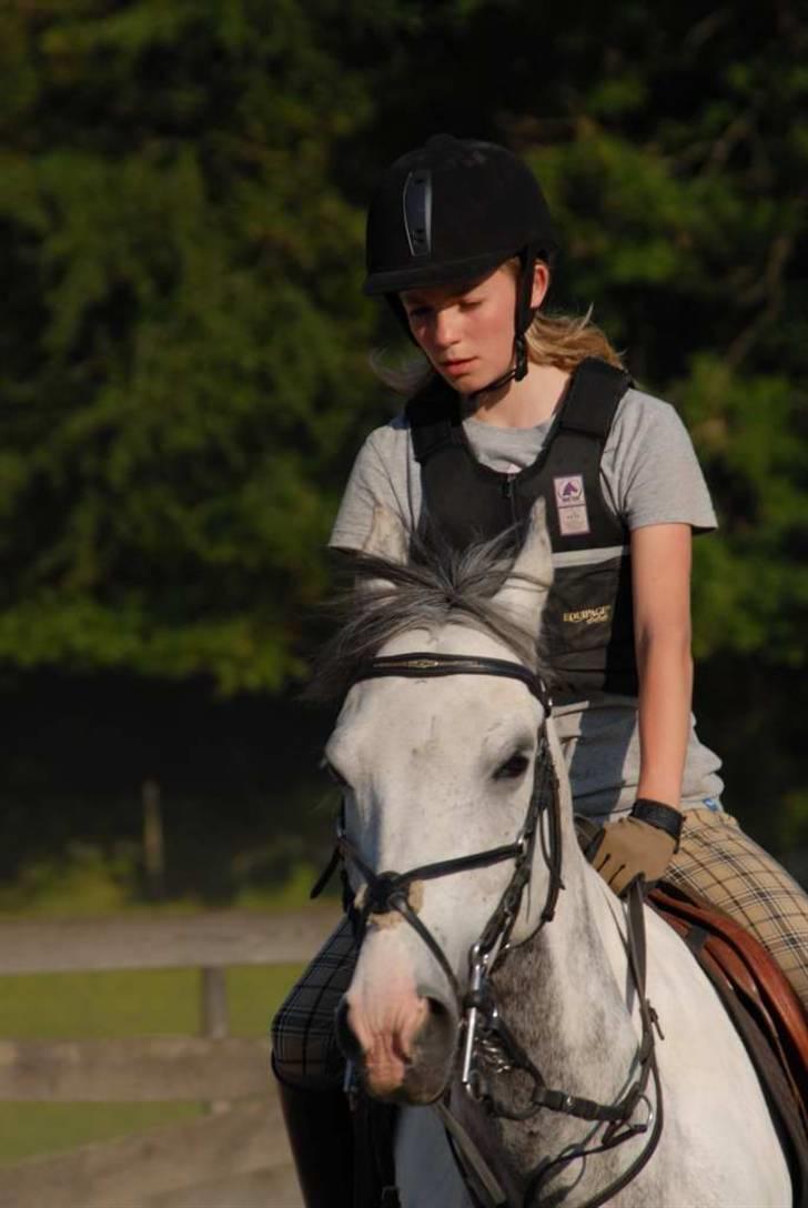 Hollandsk Sportspony Red Bull *Part*. - Opvarmning til Ponylege. Ridelejr 2009. billede 5
