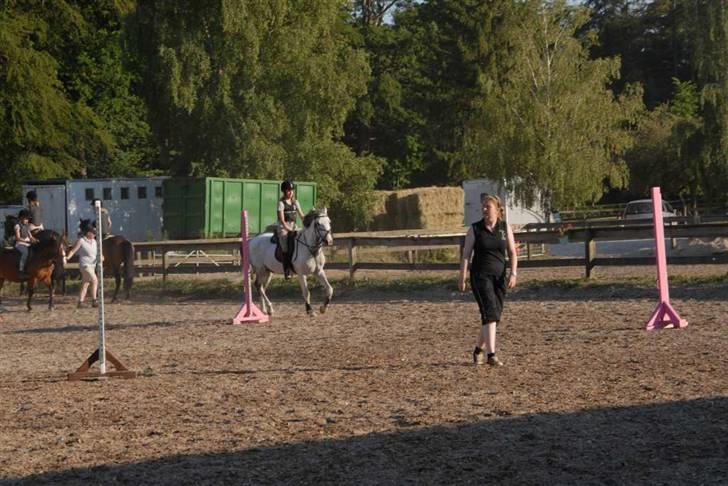 Hollandsk Sportspony Red Bull *Part*. - PONYLEGE :D. Ridelejr 2009. billede 6