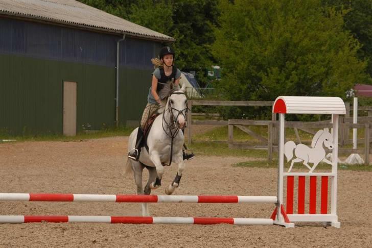 Hollandsk Sportspony Red Bull *Part*. - Ridelejr 2009. billede 7