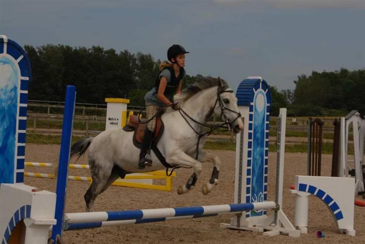 Hollandsk Sportspony Red Bull *Part*. - Ridelejr 2009. billede 8