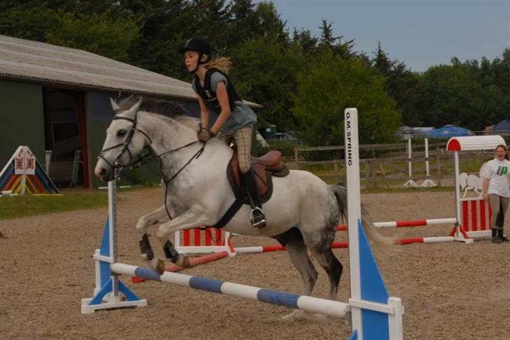 Hollandsk Sportspony Red Bull *Part*. - Ridelejr 2009. billede 9