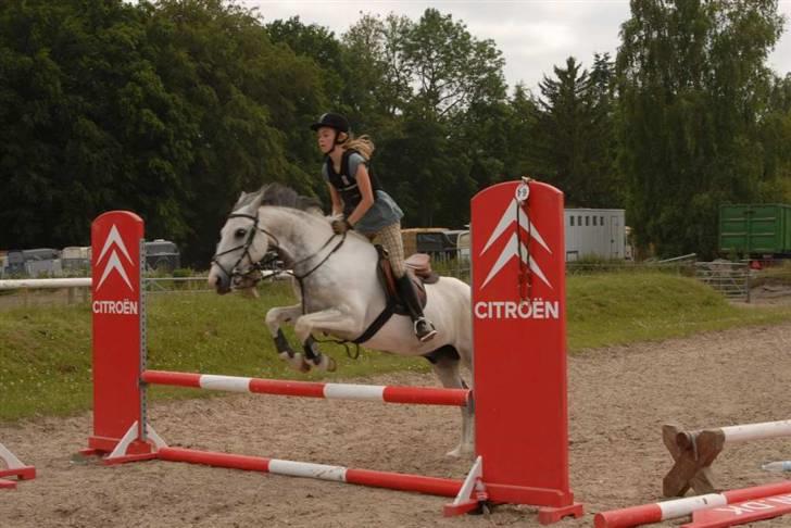 Hollandsk Sportspony Red Bull *Part*. - Ridelejr 2009. billede 10