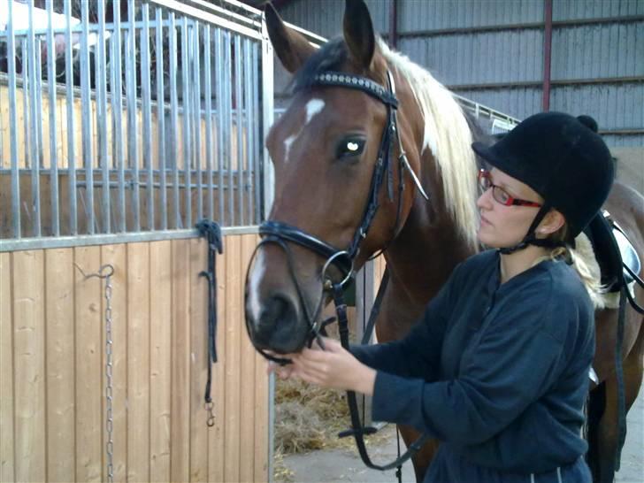 Pinto Thiamo - aug 09. skal ud og bestille lidt...... billede 18