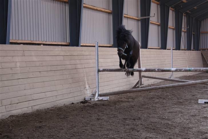 Dartmoor Anc-Neu Duo billede 10