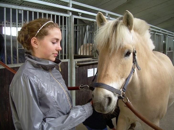 Fjordhest Rask Kongehøj R.I.P. - Konfirmation 2010 billede 6
