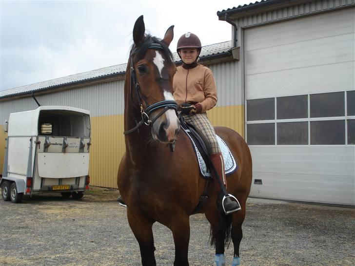 Oldenborg Teglgårdens Fielou R.I.P. - Foto: Kira R. :) billede 5