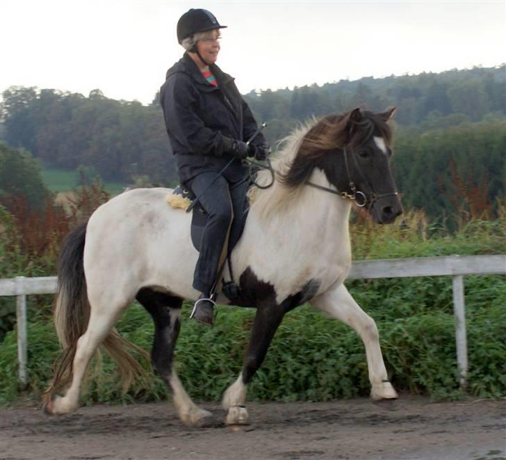 Islænder Hatta fra Rønnekildegaard - d. 3 sep 09 Tölt billede 18