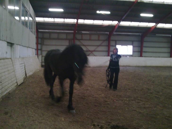 Frieser Thomas Gammelgaard billede 12