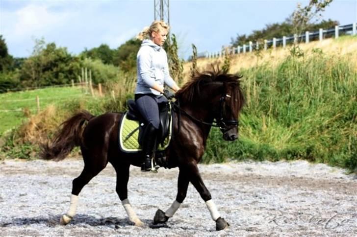 DSP Lacom Therese * solgt *  billede 9