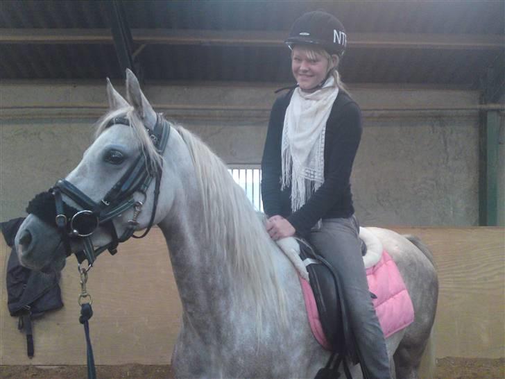 Arabisk fuldblod (OX) Farasha Al-Sahra † <3 - første gang på ryggen af hende billede 11