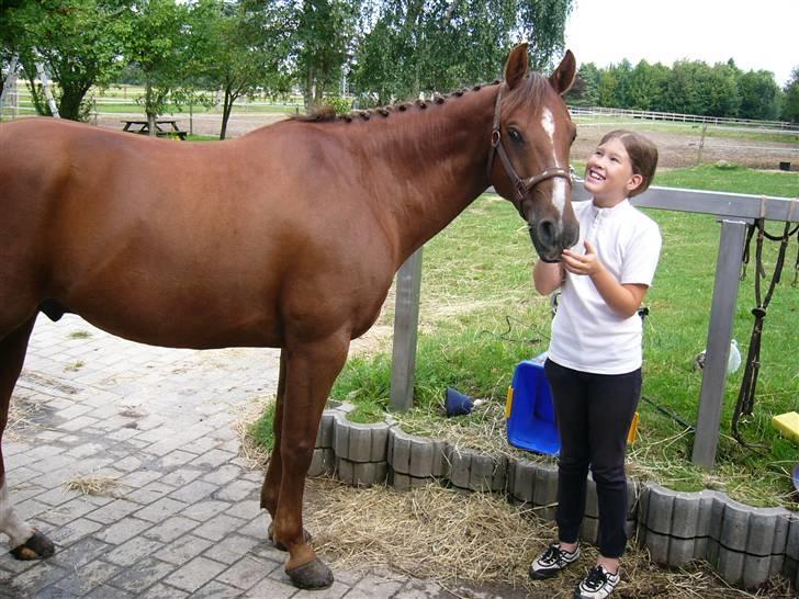 DSP Nørlunds Ascari - Min smukke pony og bedste ven billede 10
