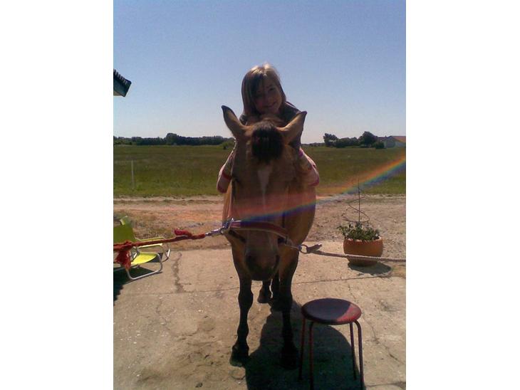 {{currentPhoto.altText}} billede {{currentPhoto.number}}