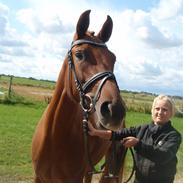 DSP Lykkehøjs Golden Lady