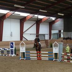 Anden særlig race Malibu