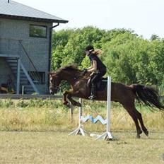 Anden særlig race Malibu